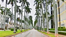 Palm Beach Palm Beach