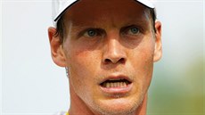 Tomá Berdych bhem duelu 2. kola Wimbledonu.