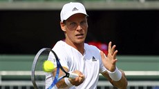Tomáš Berdych returnuje v duelu 2. kola Wimbledonu. Tomáš Berdych returnuje v duelu 2. kola Wimbledonu.