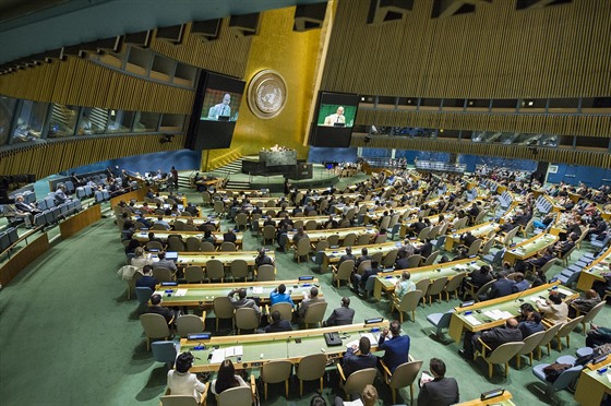 Valné shromádní OSN