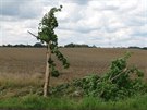 Tragick nehoda u Bakova nad Jizerou (16. 7. 2017)