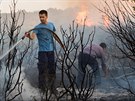 Lesní poár nedaleko chorvatského Zadaru (16. ervence 2017).