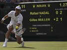 Lucemburan Gilles Miller zahrv der v osmifinle Wimbledonu proti Rafaelu...