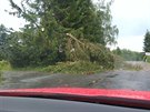 Bouřka 9.7. 2017. Na cestě z Karlovy Studánky do Bruntálu jsme v Rudné pod Pradědem byli zastaveni silnou bouřkou, do 2 minut kolem nás začaly padat stromy a cesta na Bruntál byla v místě neprůjezdná Bouřka 9.7. 2017. Na cestě z Karlovy Studánky do Bruntálu jsme v Rudné pod Pradědem byli zastaveni silnou bouřkou, do 2 minut kolem nás začaly padat stromy a cesta na Bruntál byla v místě neprůjezdná