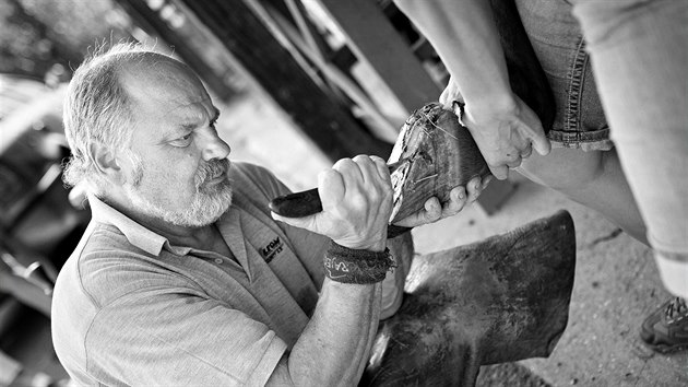 Jihočeský podkovář Luboš Kocman Jihočeský podkovář Luboš Kocman