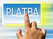 Platba předem u neověřeného prodejce může být značně riziková. Ilustrační snímek Platba předem u neověřeného prodejce může být značně riziková. Ilustrační snímek