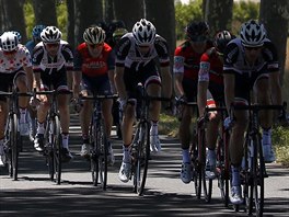 Peloton na Tour de France bhem trnct etapy.