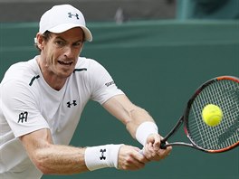Brit Andy Murray zahrv der ve tvrtm kole Wimbledonu proti Francouzi...