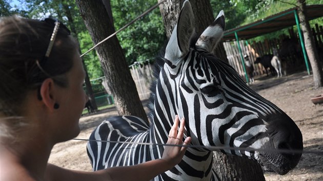 Berouskv zoopark v Doksech je oblbenm mstem rodinnch vlet, vtinu zvat je mon si pohladit.