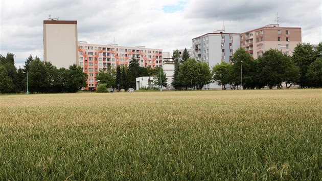 Olomouck sdlit v mstsk sti Lazce 20 let po povodni - ervenec 2017