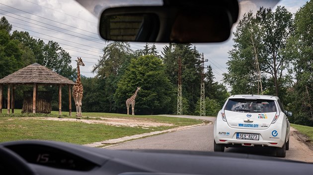 Nvtvnci safari ve Dvoe Krlov si mohou zdarma pjit elektromobil.