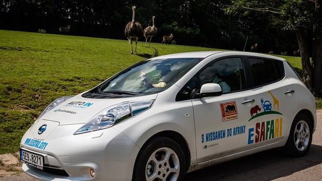 Nvtvnci safari ve Dvoe Krlov si mohou zdarma pjit elektromobil.