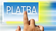 Platba předem u neověřeného prodejce může být značně riziková. Ilustrační snímek Platba předem u neověřeného prodejce může být značně riziková. Ilustrační snímek