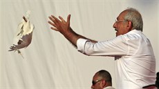 Lídr opoziní strany CHP Kemal Kilicdaroglu vypoutí holubici do davu, který se...