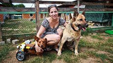 Alžběta Humlíčková celý život pečuje o opuštěná a nemocná zvířata. Teď se třeba... Alžběta Humlíčková celý život pečuje o opuštěná a nemocná zvířata. Teď se třeba...
