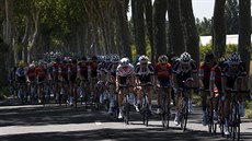 Peloton na Tour de France bhem trnácté etapy.