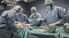 V Plzni se koná Letní škola experimentální chirurgie. Medikům slouží jako... V Plzni se koná Letní škola experimentální chirurgie. Medikům slouží jako...