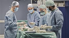 V Plzni se koná Letní škola experimentální chirurgie. Medikům slouží jako... V Plzni se koná Letní škola experimentální chirurgie. Medikům slouží jako...