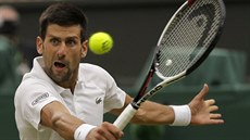 Srb Novak Djokovic v osmifinále Wimbledonu. Srb Novak Djokovic v osmifinále Wimbledonu.