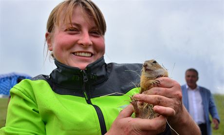 Markéta Jariabková z jihoeské Zoo Hluboká se louí s jedním z dvacítky sysl,...