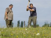 Myslivci instalovali pachové ohradníky, mají udržet divočáky z oblasti zasažené... Myslivci instalovali pachové ohradníky, mají udržet divočáky z oblasti zasažené...