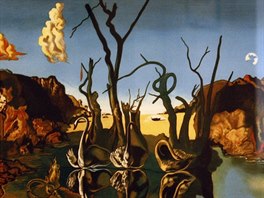 Z výstavy Salvador Dalí ve Valaském Meziíí