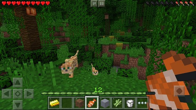 Minecraft: Pocket Edition