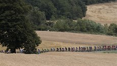 Cyklistický peloton bhem 19. etapy Tour de France.
