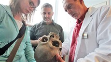 Archeologický a antropologický průzkum ostatků členů šlechtického rodu... Archeologický a antropologický průzkum ostatků členů šlechtického rodu...