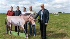 V Dívčích hradech najdou nový domov koně Převalského. V Dívčích hradech najdou nový domov koně Převalského.