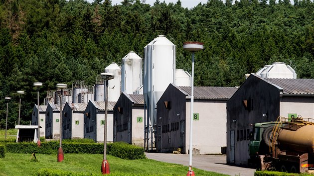 Velkokapacitn vepn na mst bvalho romskho koncentranho tboru v Letech na Psecku. (31. ervence 2017)