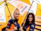 Kulisu k závodm MotoGP tradin obstarávají také hostesky.