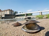 Po dobu snížení hladiny řeky se může podařit zachránit několik desítek tisíc... Po dobu snížení hladiny řeky se může podařit zachránit několik desítek tisíc...