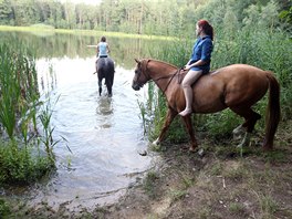 Nejen lidé, ale i zvíata potebují zchladit. Vlna veder zasáhla nebývalou...