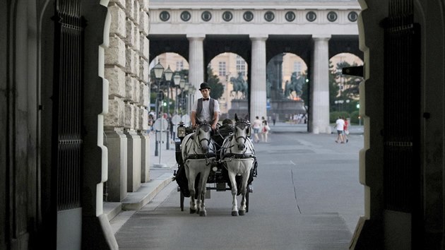 Ve Vdni v ter nejezdily fiakry, kon kvli vedru dostali volno (1. srpna 2017)