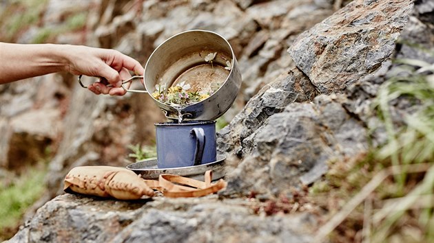 Nebojte se na cestch vyut to, co roste kolem. Uvait si mete teba aj z lunch rostlin.