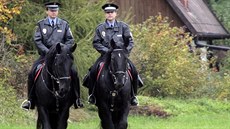 Pardubičtí strážníci momentálně shánějí kolegu do jízdního oddílu. Ten se... Pardubičtí strážníci momentálně shánějí kolegu do jízdního oddílu. Ten se...