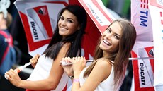 Kulisu k závodm MotoGP tradin obstarávají také hostesky.