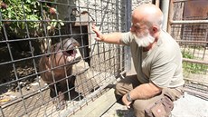 Sedmnáctiměsíční hrošík Pedro (na snímku s ošetřovatelem Karlem Růžičkou) je... Sedmnáctiměsíční hrošík Pedro (na snímku s ošetřovatelem Karlem Růžičkou) je...