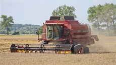Žně jsou v Olomouckém kraji v polovině (snímek od Majetína na Olomoucku),... Žně jsou v Olomouckém kraji v polovině (snímek od Majetína na Olomoucku),...