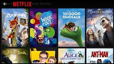 Tituly studia Disney v české nabidce Netflixu Tituly studia Disney v české nabidce Netflixu