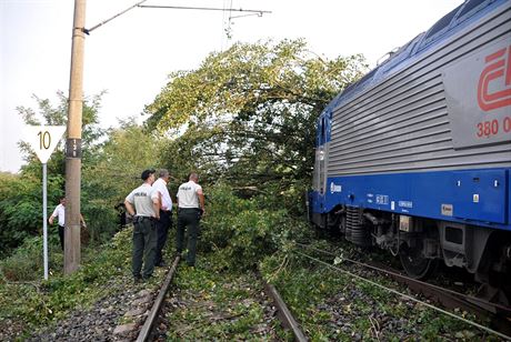 Vlak EC 173 najel u slovenské obce Brodské do spadlého stromu (10. srpna 2017).
