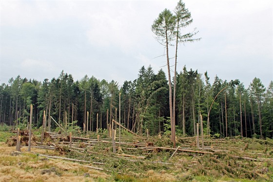 Po boui s derechem vznikl na Trutnovsku rozsáhlý lesní polom. Lidé se pustili...