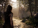 Hellblade: Senua's Sacrifice (PC)