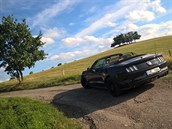 Se svými 4784 mm délky nepatří kabrio mustang k prckům. Nijak se nekrotí ani...