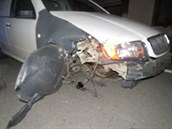 Řidič si při havárii na mostě ve Velkém Týnci urazil kolo, policistům pak řekl,... Řidič si při havárii na mostě ve Velkém Týnci urazil kolo, policistům pak řekl,...