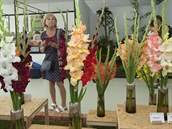 Na olomouckém výstavišti začala letní etapa mezinárodní květinové expozice... Na olomouckém výstavišti začala letní etapa mezinárodní květinové expozice...