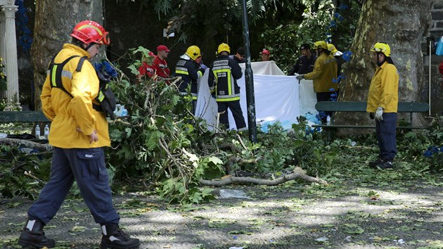 Padajc strom zabil bhem crkevnch oslav na Madeie 12 lid (15. srpna 2017).