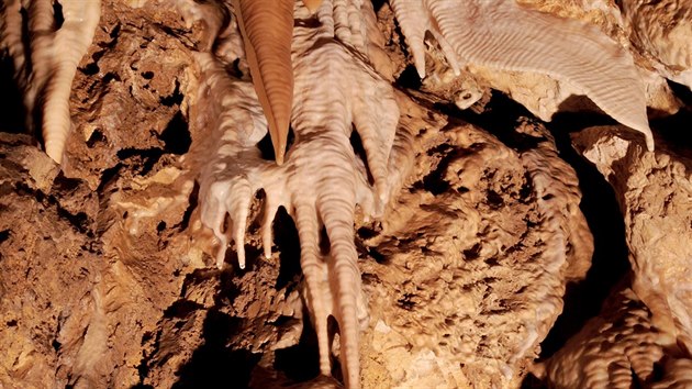 Bozkovsk dolomitov jeskyn jsou patrn nejatraktivnj prodn zajmavost regionu. Nen se emu divit, bohat krpnkov vzdoba je uchvacujc.