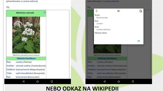 Ppadn vs aplikace me odkzat na Wikipedii.